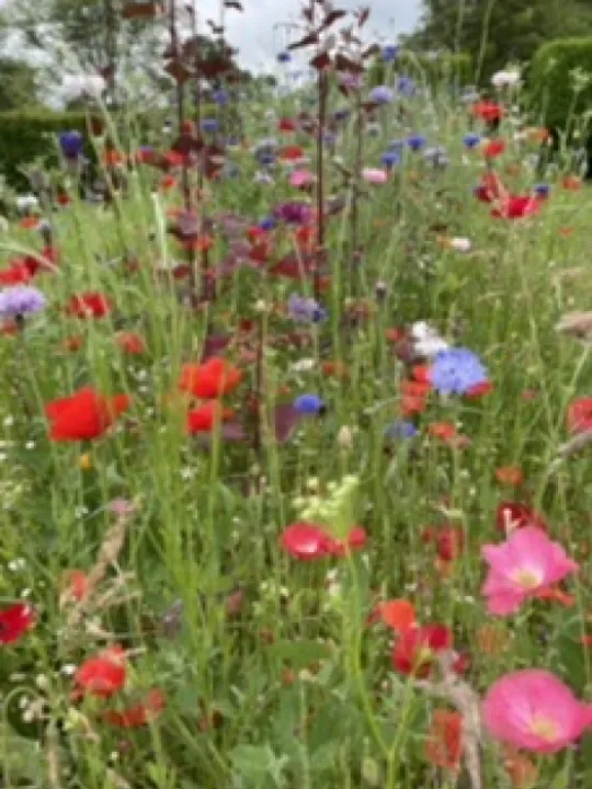 C6366137-9B5A-44E7-9CBD-433127D65796