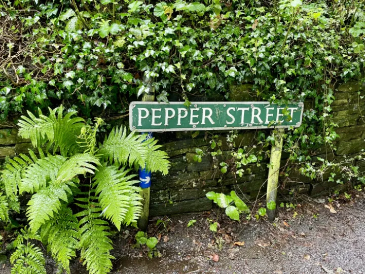 Pepper Street