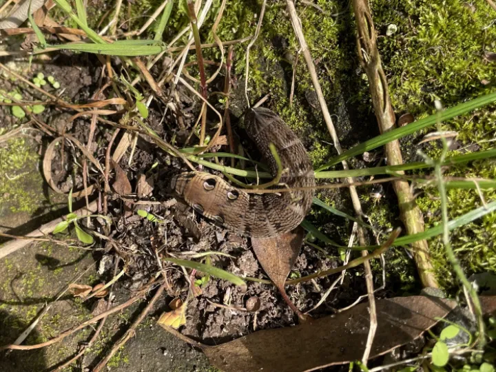 D7EB8D04-14D3-4E1F-9A1F-BA5B652693CA