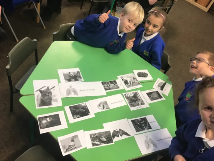 AB155D92-E540-4DCB-8BF6-31A8D80190E6