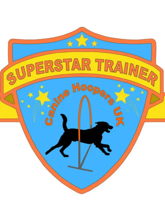 Super Trainer