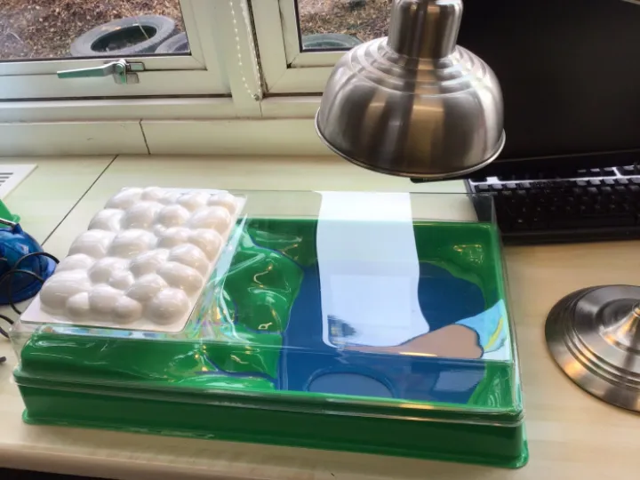 F8CDD5A1-440D-4F05-943A-1AFD523E7F94