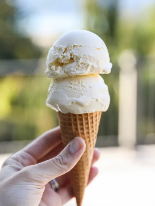 Vanilla ice cream 5 copy