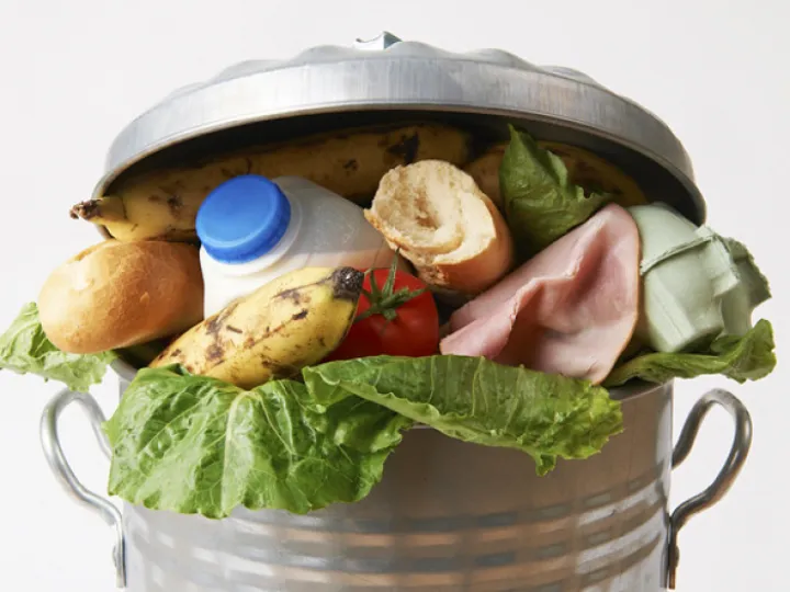 Food Waste