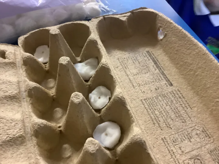 76D82C39-4542-4BDC-9F17-5EFB1F7351C3