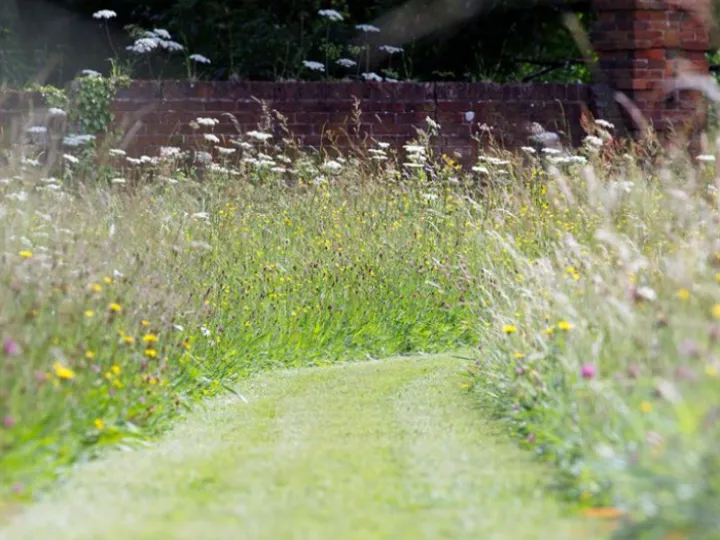 2d4808556850b87184f0ee164c02c770