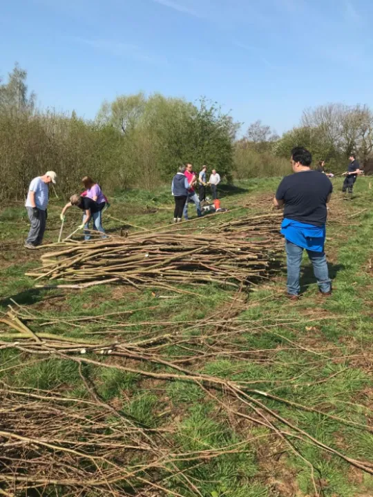 coppice 3