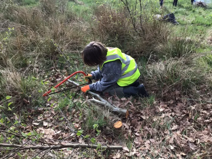 18EDA667-E691-424E-B943-EFE6DFF32D35