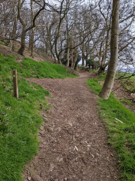 PXL_20220321_112744476