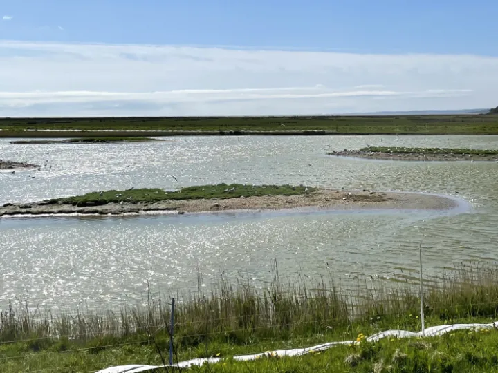 Aweg Leighton Moss 2