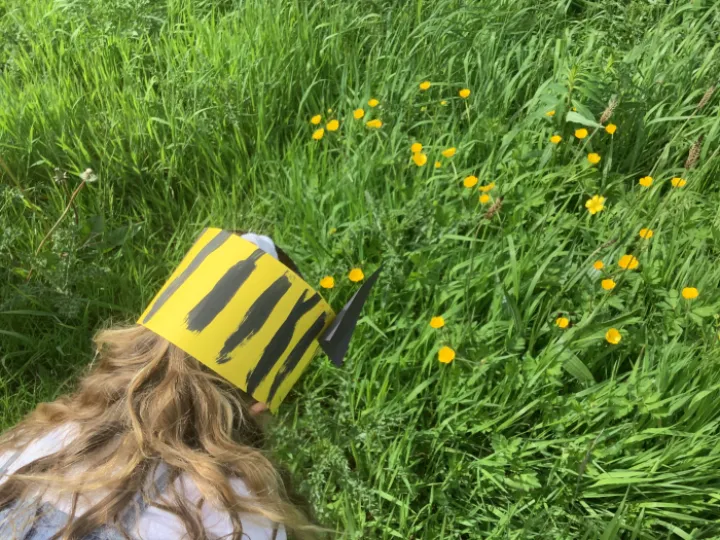 D5DD3B79-A3DD-4BB1-953E-EDFBB18FB2BD