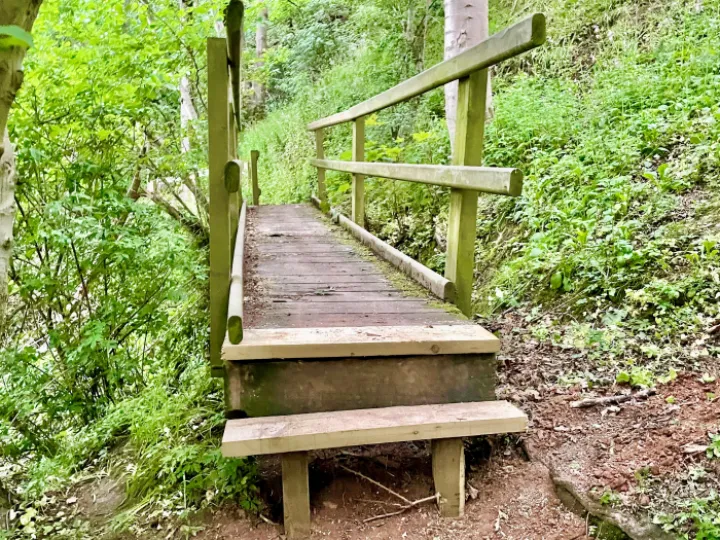 Bridge New Steps Eardswick Woods May 2022