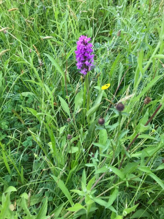 9806092d-f8d6-4c5d-8454-96162ded1f24