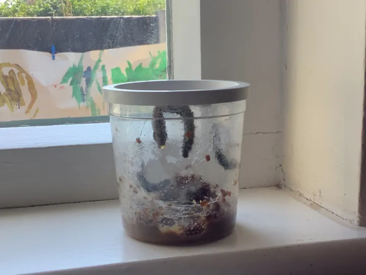 477C98F4-C5AF-4659-AD07-62F9E23F7984