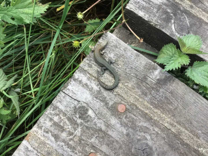 49AB3995-F954-435B-99A2-68B9D79227CF