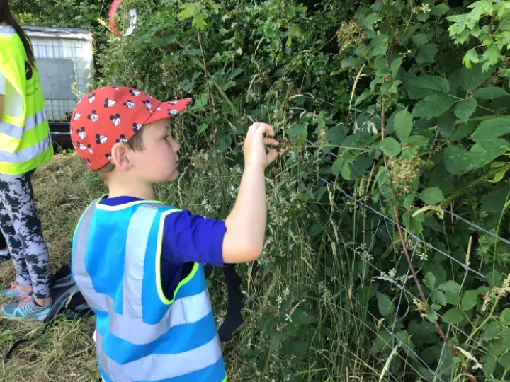 15944479-64A6-4985-9136-84F32E2D5EF5