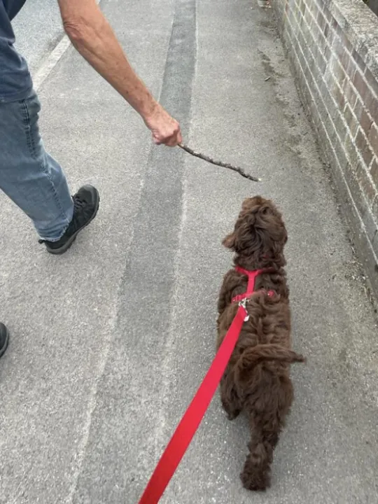 b921e360-b976-482a-a255-a1588503d3ae