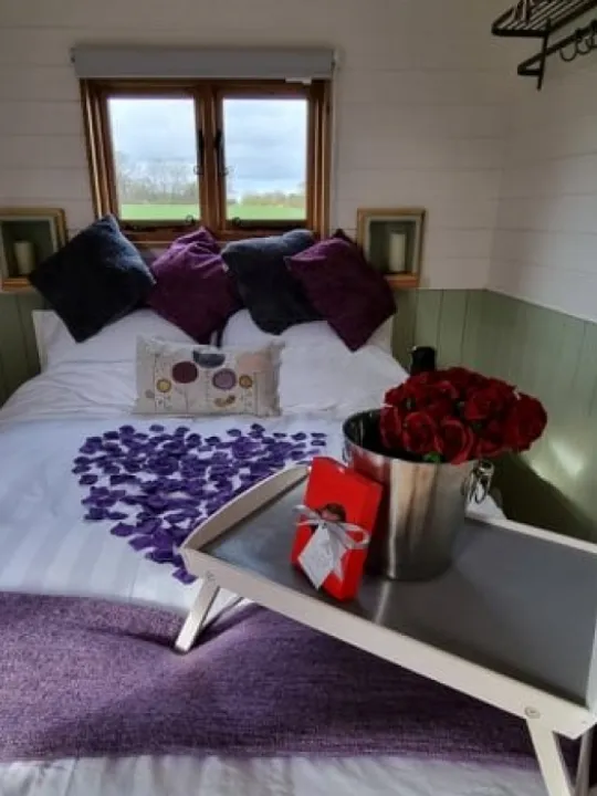 hodnet valentine (3)