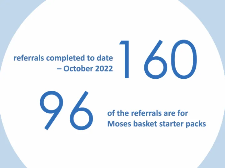 baby basics statistics