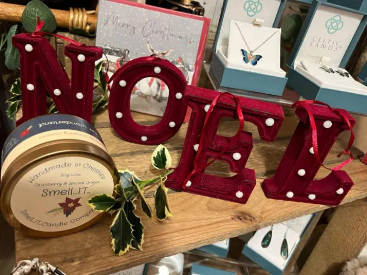 Little Angels Christmas 2022 NOEL