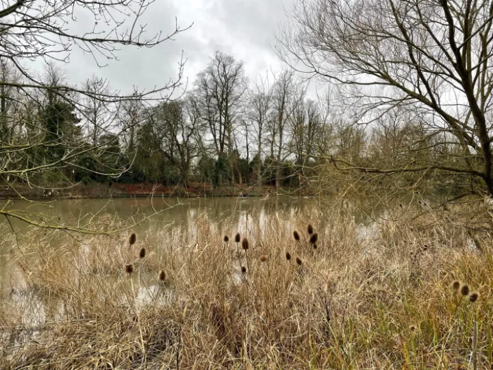 2021-12-31 Thames Path Liz Underhill