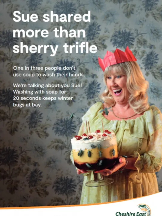 CE Winter Bugs Campaign