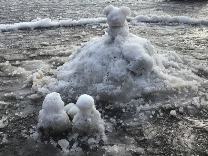 63467C32-8446-4930-A6AB-98FED85BDD3A