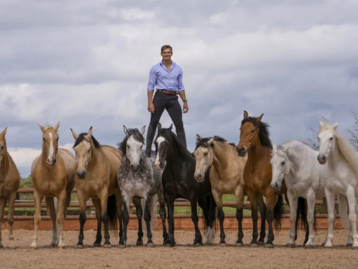 Bolesworth International Ben Atkinson