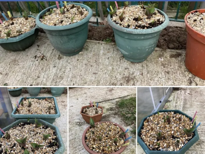 A8255DAA-CBF4-427A-8FEE-F39199FF4B0A