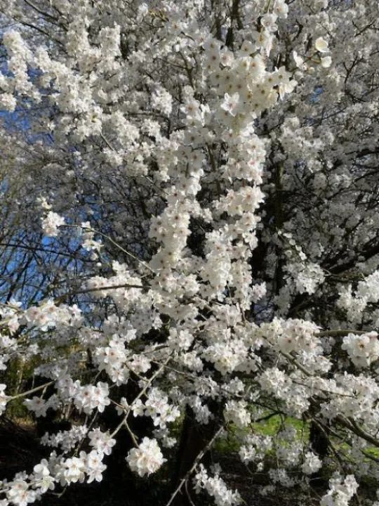 Keith Barker Photos March 2023 6688eb42 9f3c 40bb ad17 a3c0b73f6900