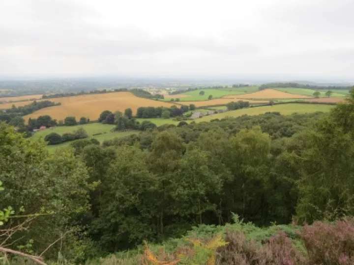 Bickerton Hill Views