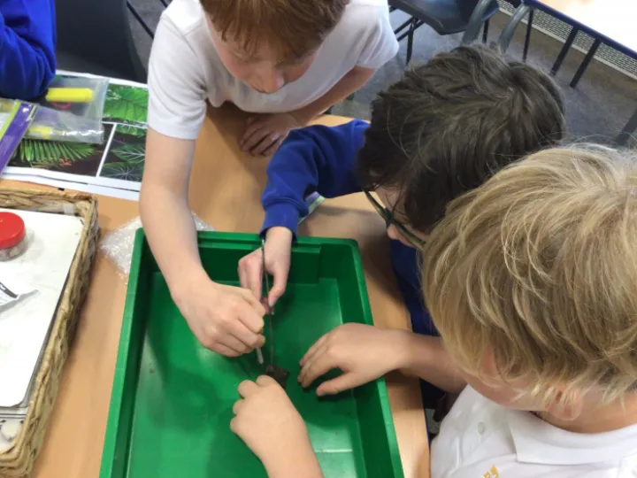 1DEDF1E8-661B-471C-905A-E761404E66F5