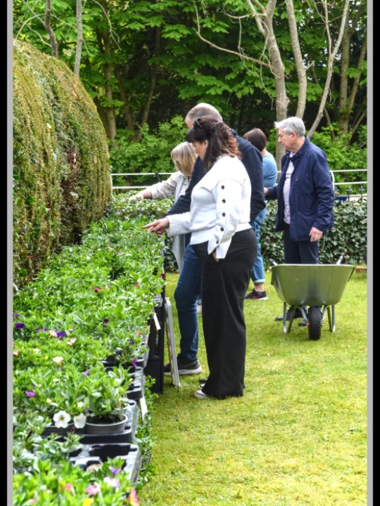 Pj 20230429 120849 0013