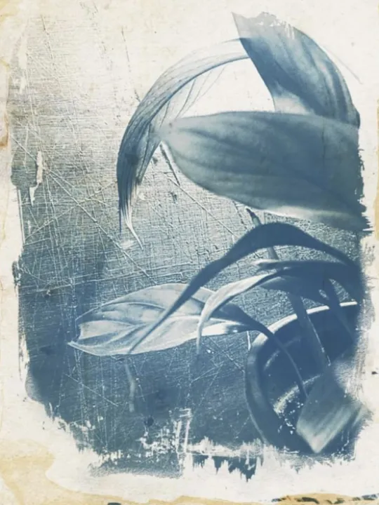 E23B701B-68D9-4171-B4F8-2CDA21BAF0D0