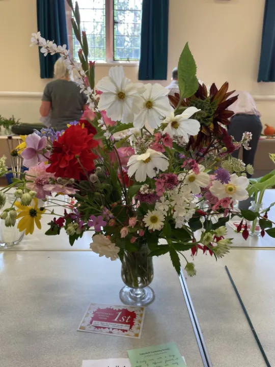 3B19545F-3917-4278-956B-72BEAFB76ECC