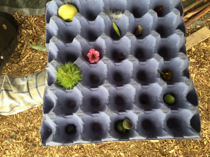 Pearl Forest School 2