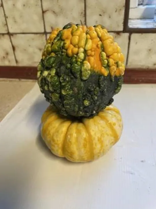 0f2a8048e3ea4e349cba2de1f5b703d7