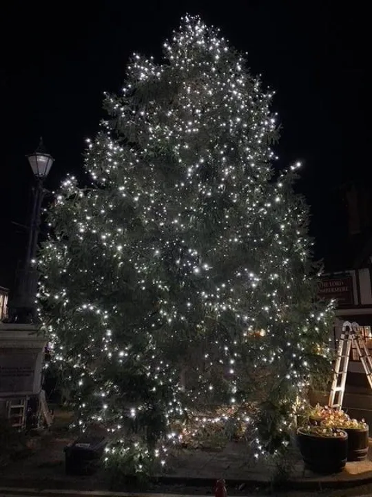 ADAS taking down trees