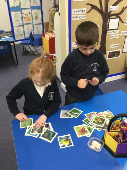 animal sorting