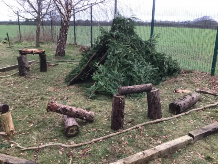 Forest schools
