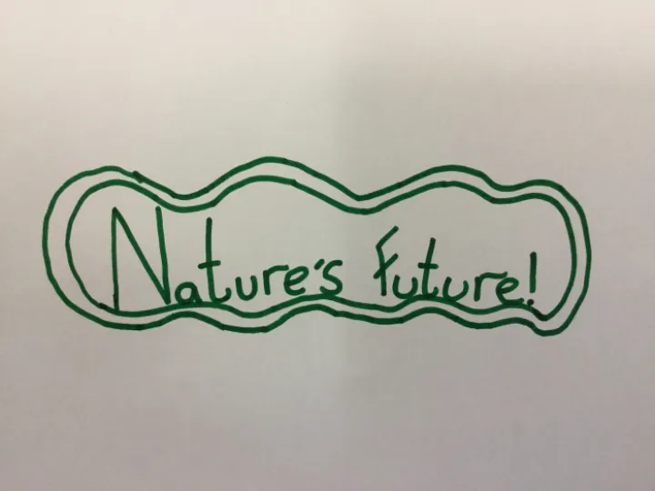 NF