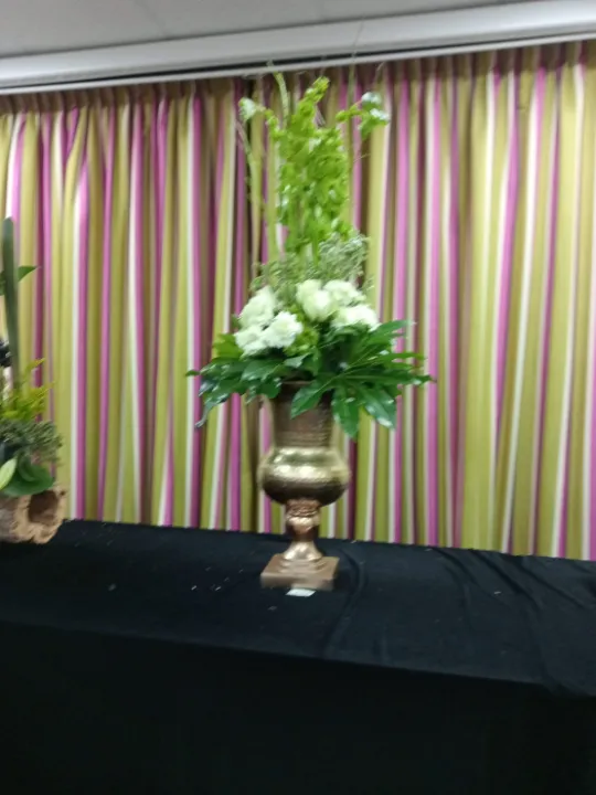 Tarvin Flower Club &ndash; Img20240313214318_burst003