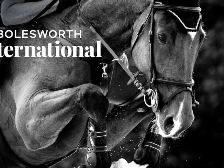 Bolesworth Int &ndash; Horse Logo