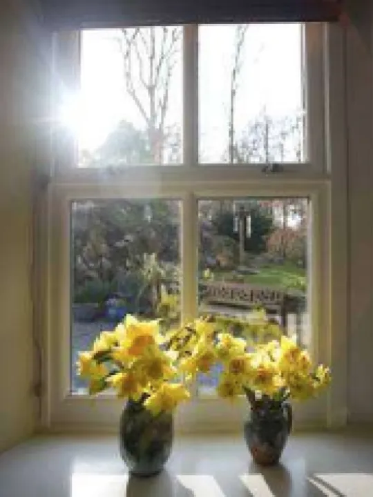Sunshine Window