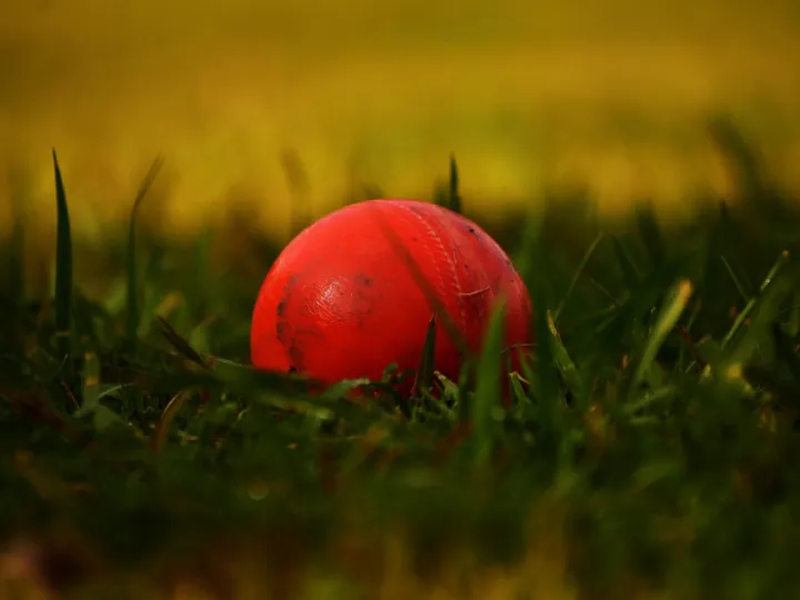 Ball, cricket, sports