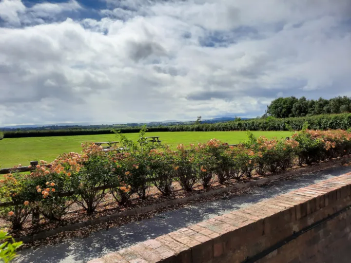 St Andrews Women's Group June 2024