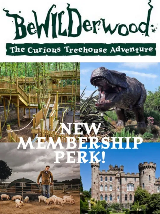 Bewilderwood Perk + Logo 2024