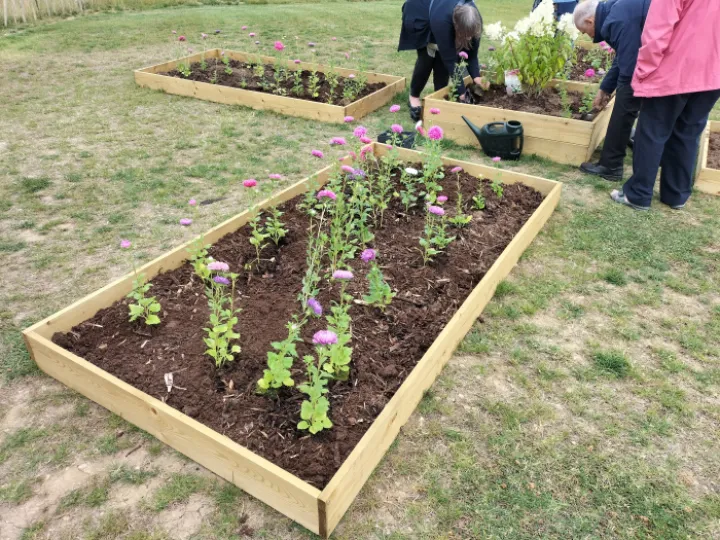 Planted flower beds