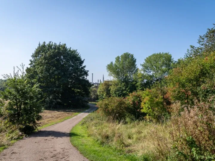Mersey Forest Anderton park
