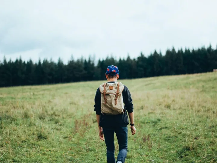 Hiker, trekking, travel, adventure, activity, nature, backpack, person, sport, forest, outdoor, journey, trek, walk, young, guy, walking, grass, field, trees, jeans, sweater, hat, hiker, hiker, hiker, hiker, hiker